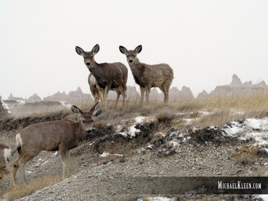 badlands05