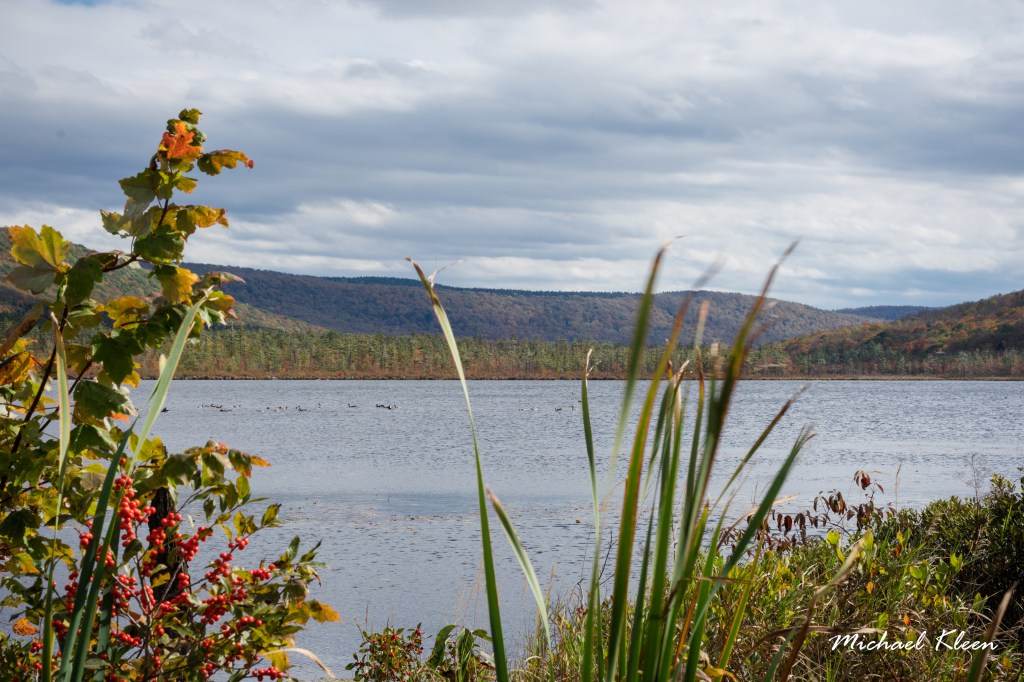 An Afternoon at Labrador Hollow and Tinker&nbsp;Falls