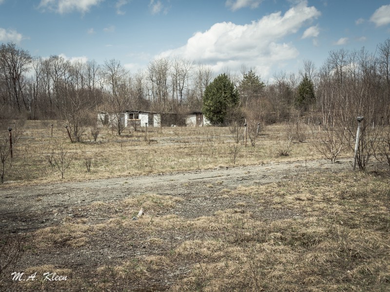 Photo by Michael Kleen