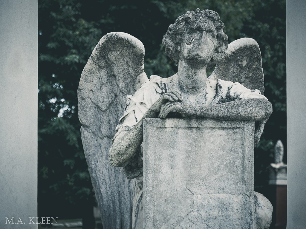 The Traces We&nbsp;Leave