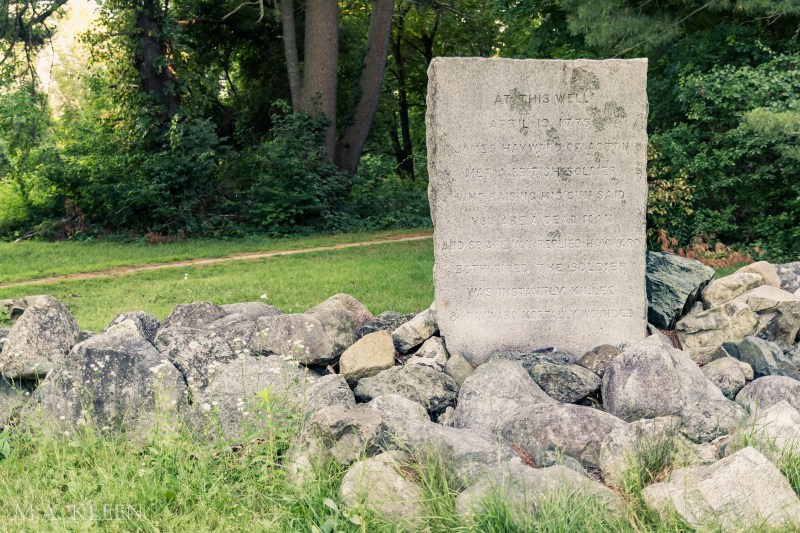 Photo by Michael Kleen