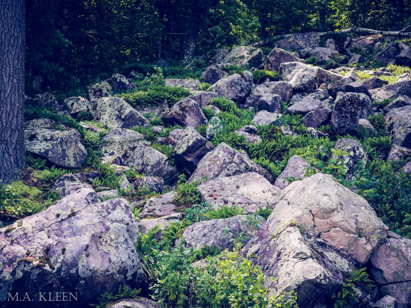 Photo by Michael Kleen