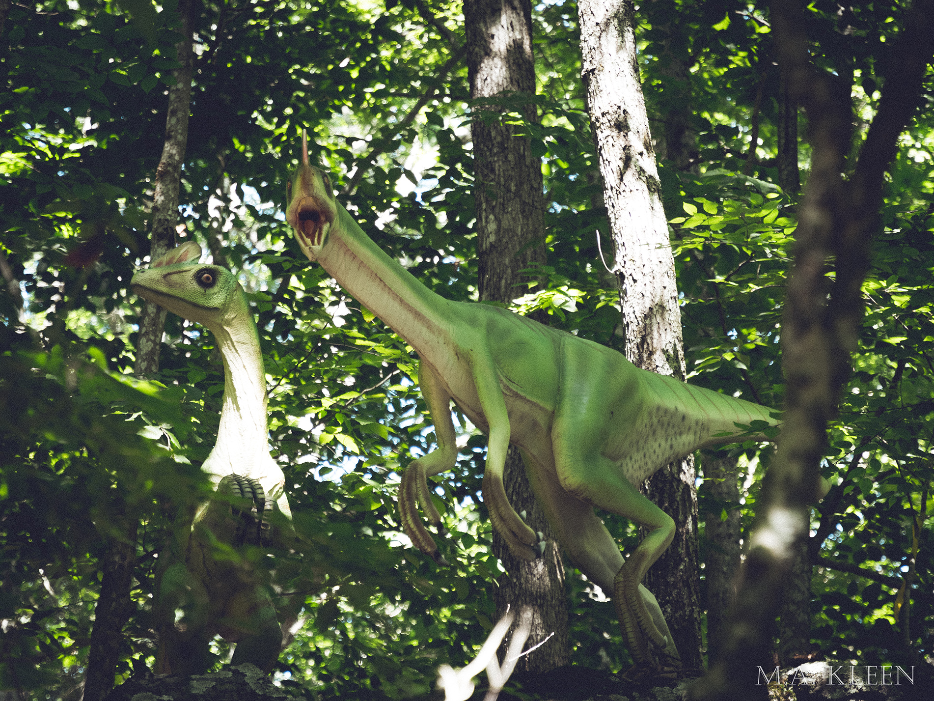 Photo by Michael Kleen