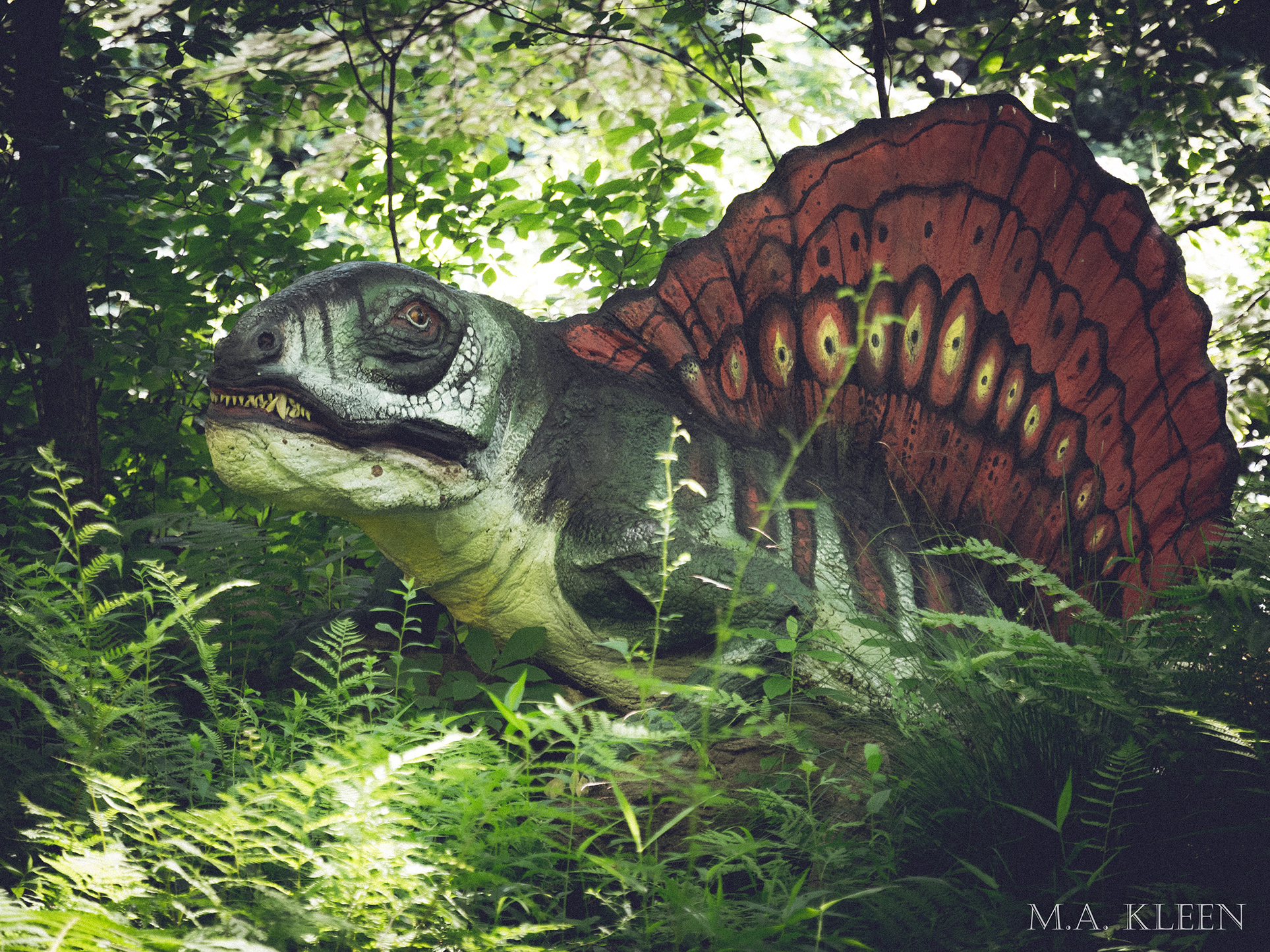 Photo by Michael Kleen