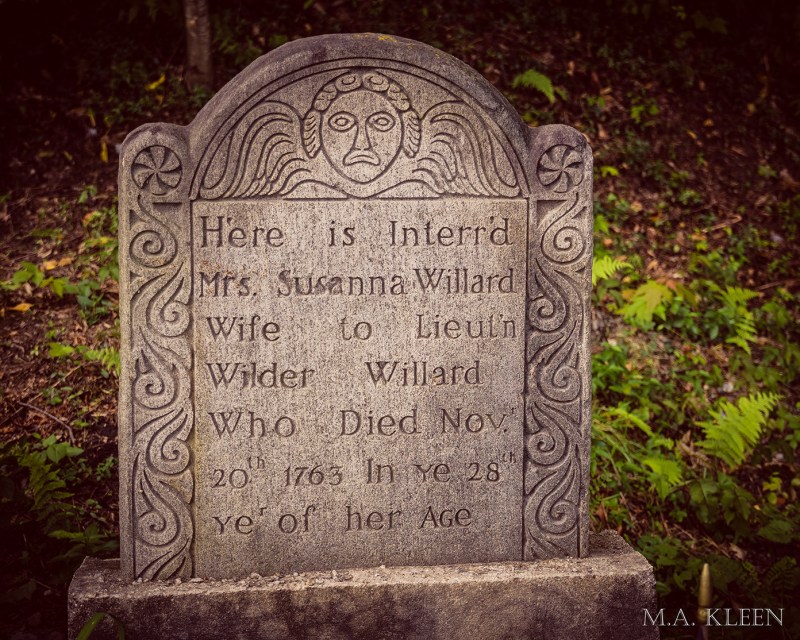 Photo by Michael Kleen