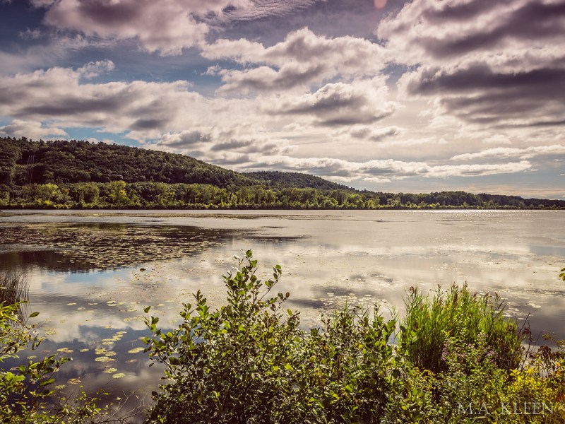 Photo by Michael Kleen