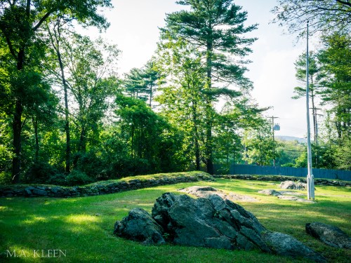 Photo by Michael Kleen