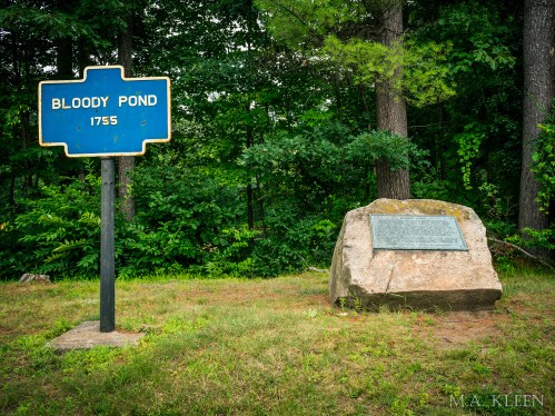 Photo by Michael Kleen