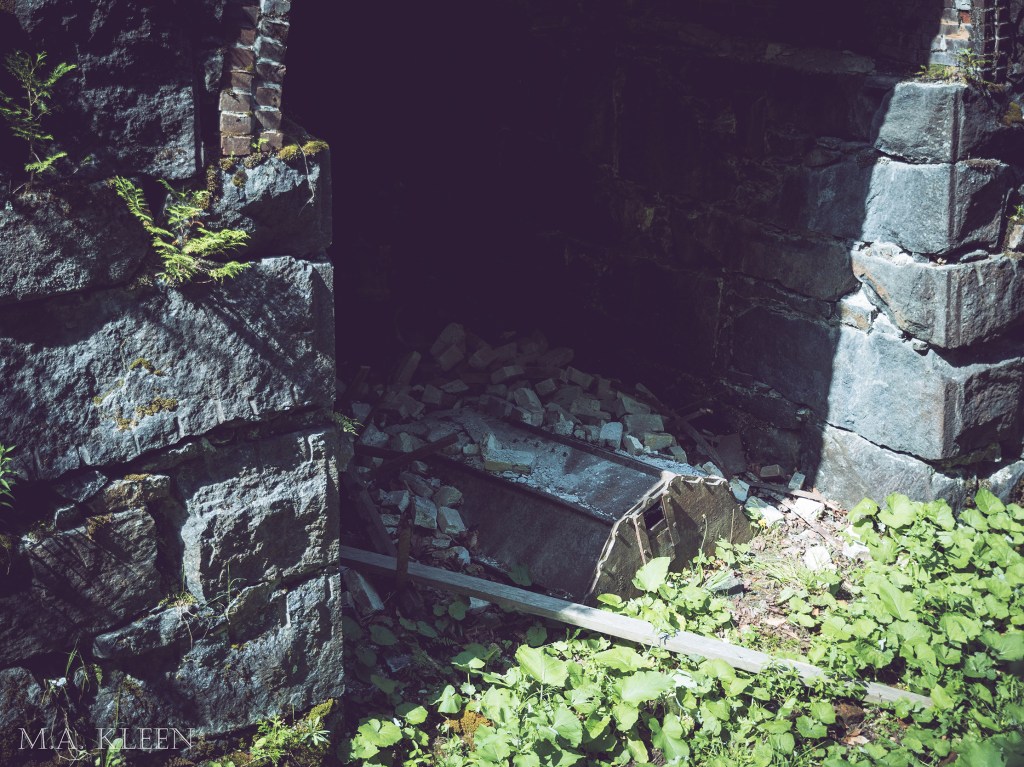 Photo by Michael Kleen