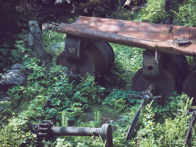 Photo by Michael Kleen