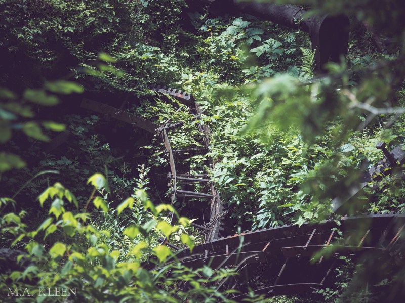 Photo by Michael Kleen