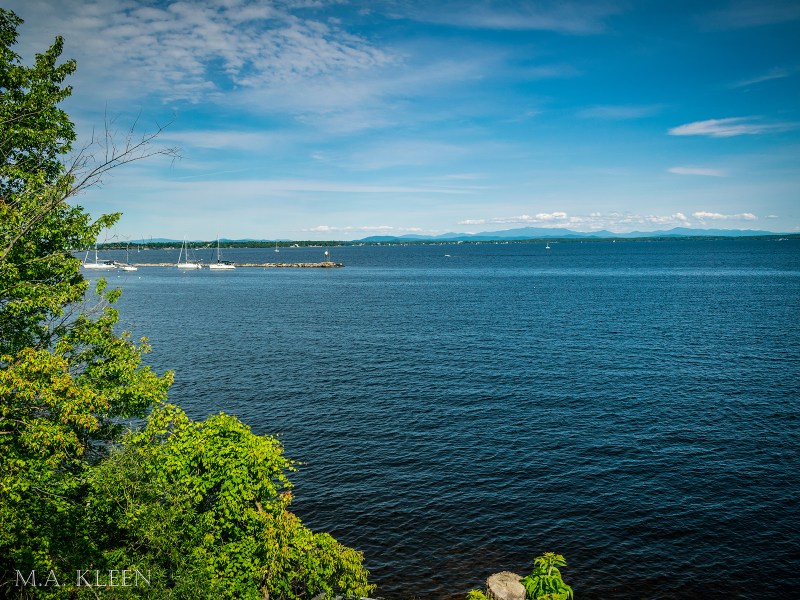 Photo by Michael Kleen