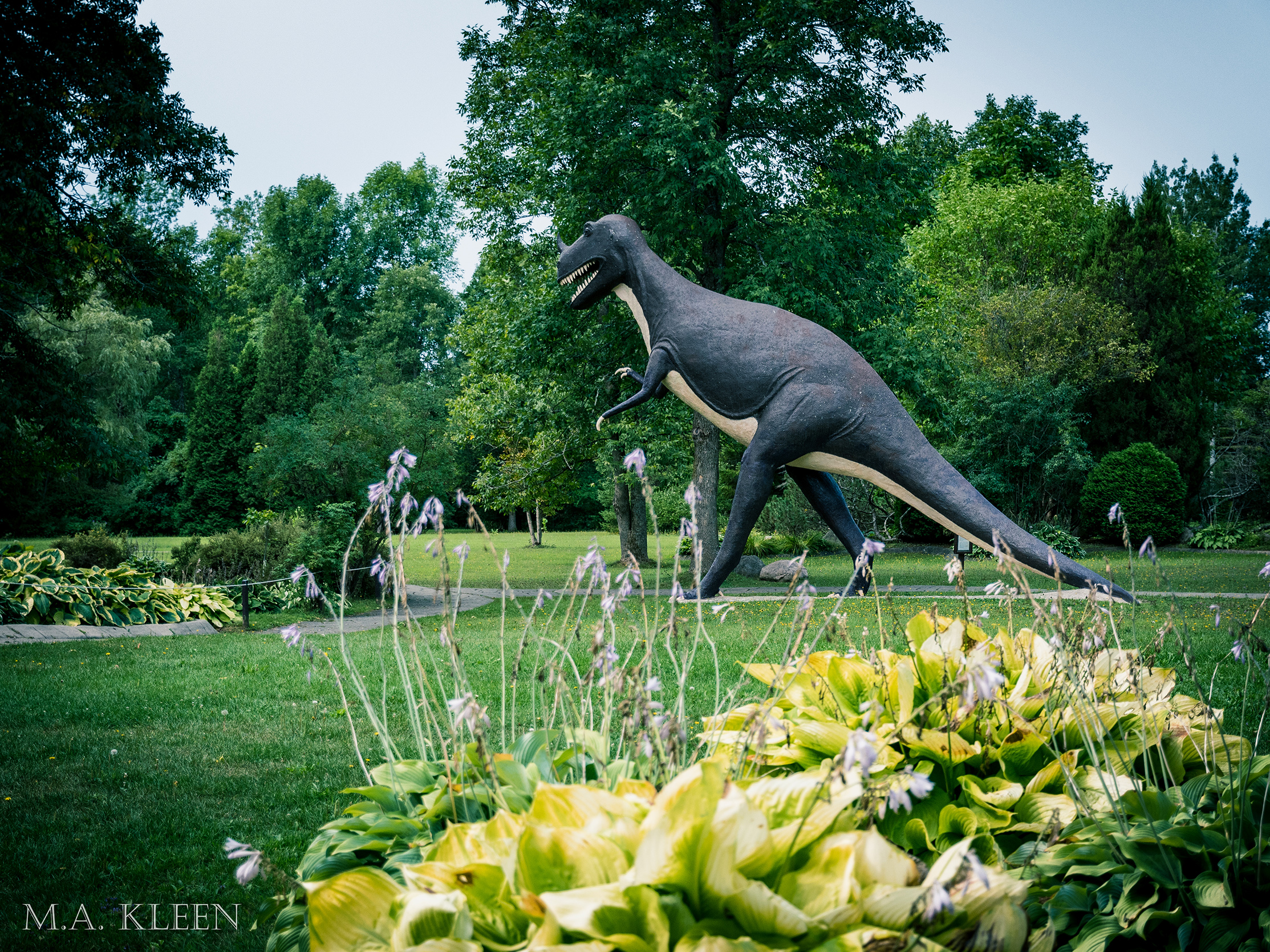 Photo by Michael Kleen