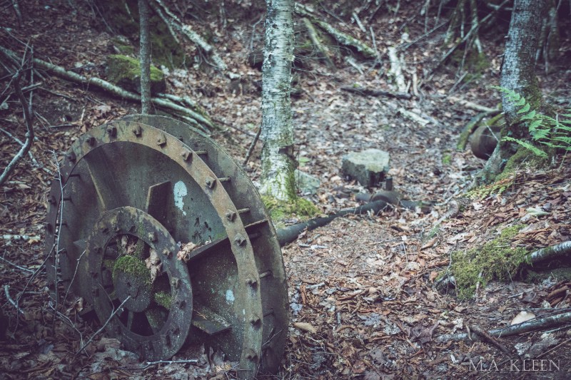 Photo by Michael Kleen