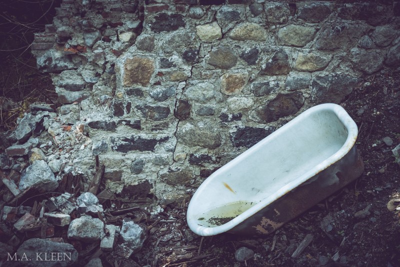 Photo by Michael Kleen