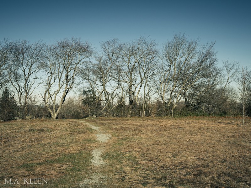 Photo by Michael Kleen