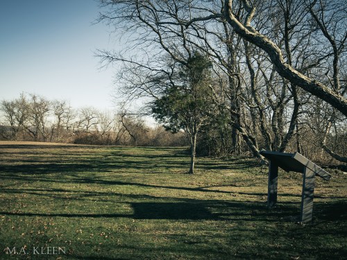 Photo by Michael Kleen