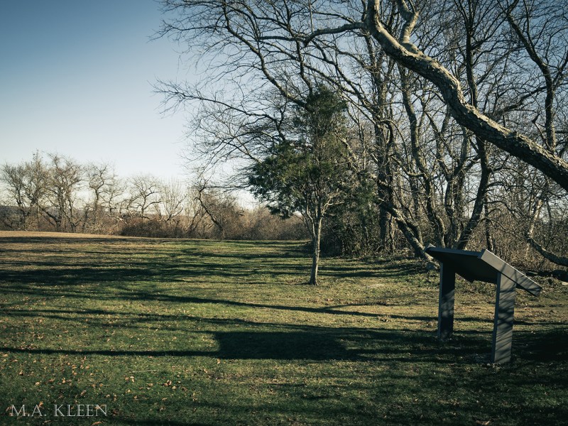 Photo by Michael Kleen