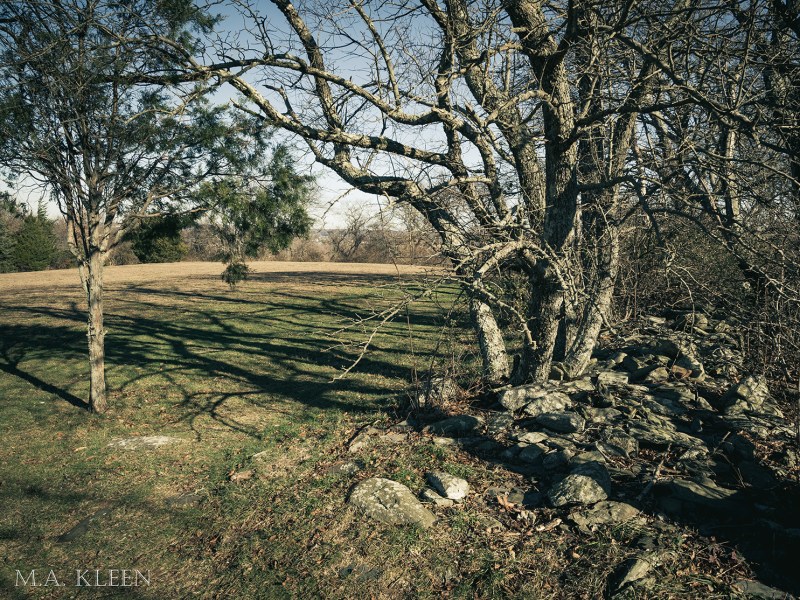 Photo by Michael Kleen