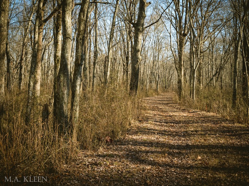 Photo by Michael Kleen