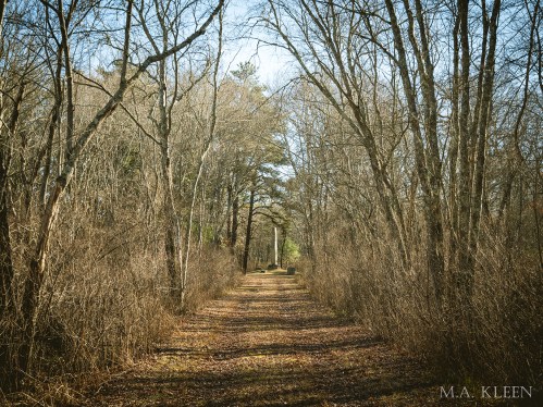 Photo by Michael Kleen