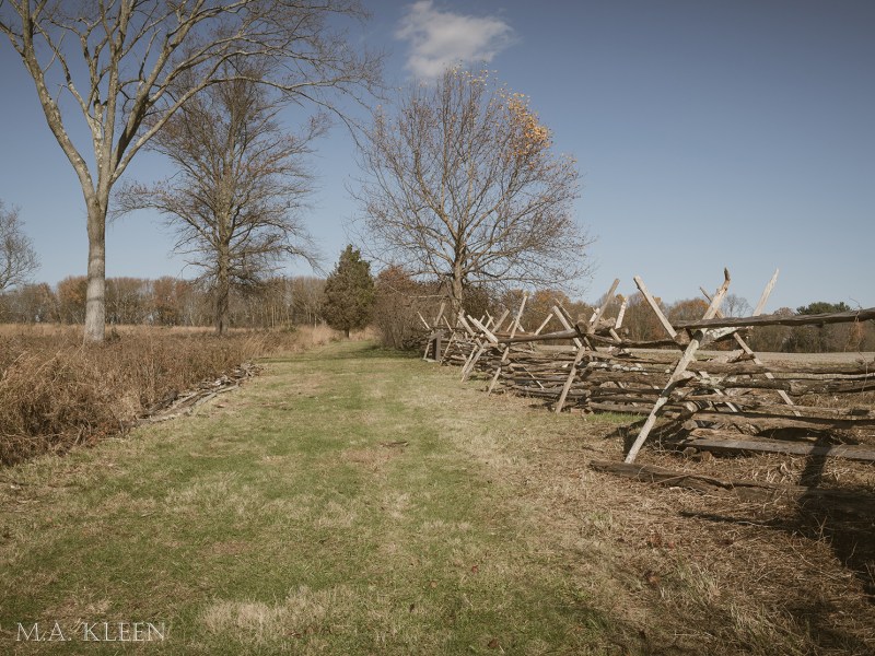 Photo by Michael Kleen