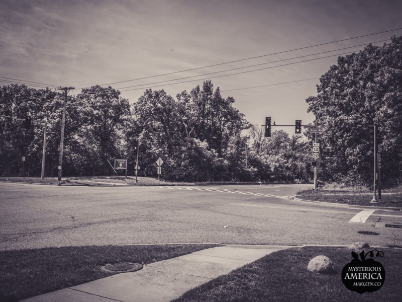 Photo by Michael Kleen