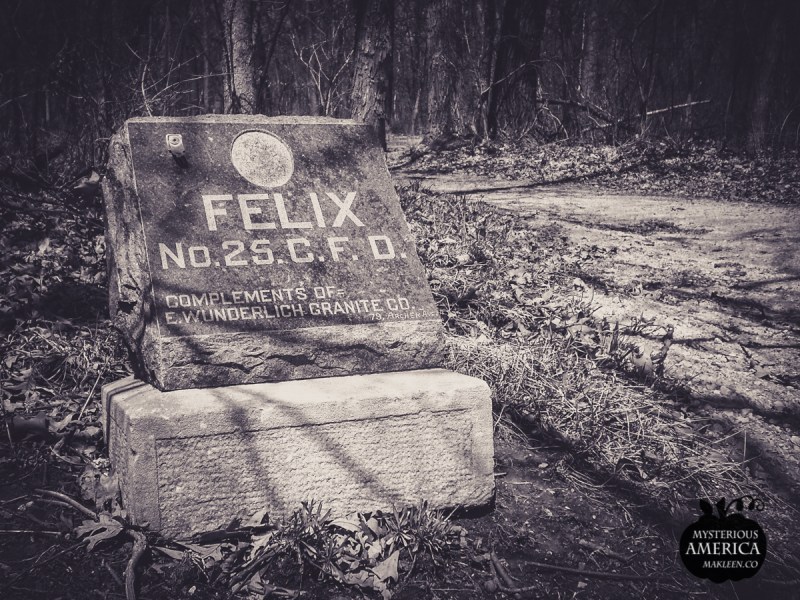 Photo by Michael Kleen