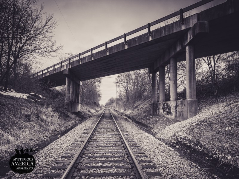 Photo by Michael Kleen