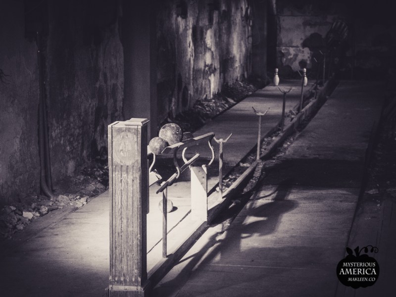 Photo by Michael Kleen