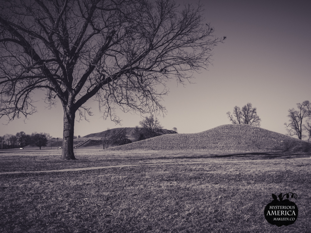 Photo by Michael Kleen