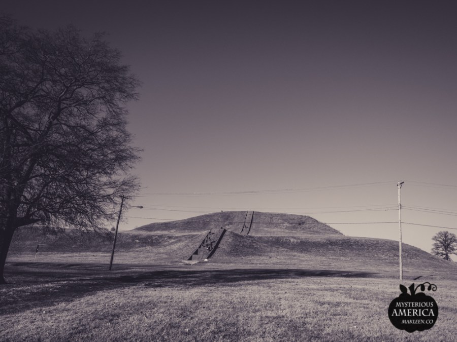 Photo by Michael Kleen