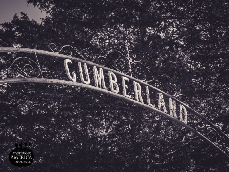 Photo by Michael Kleen