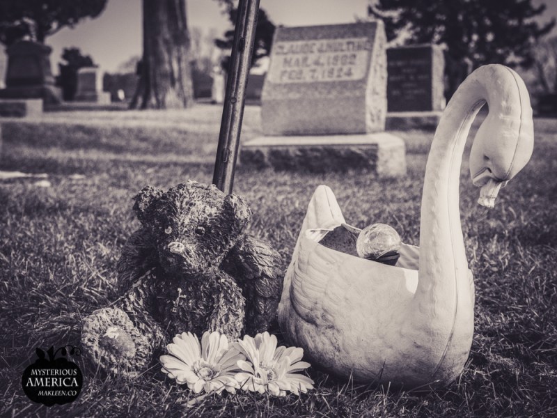 Photo by Michael Kleen