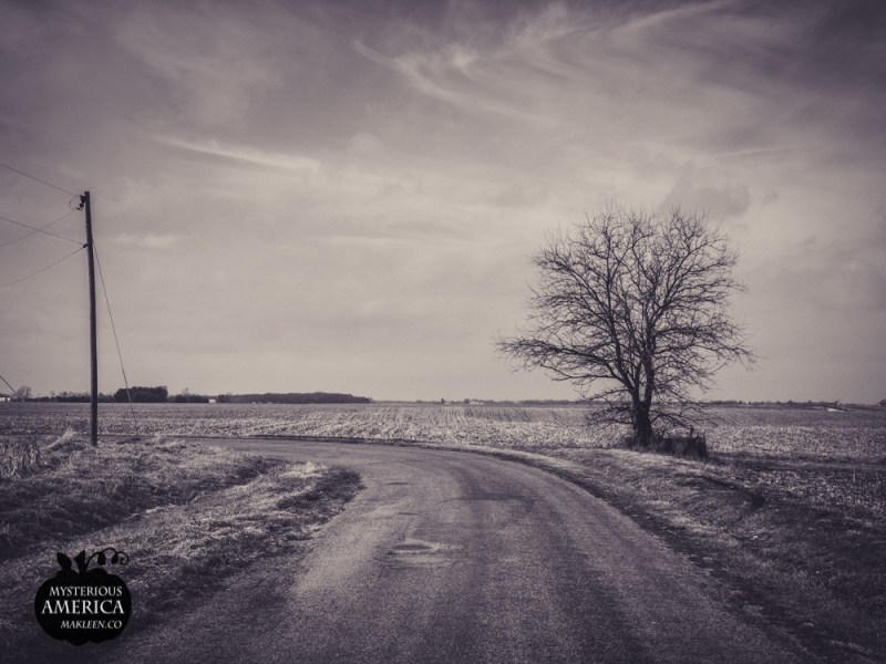 Photo by Michael Kleen