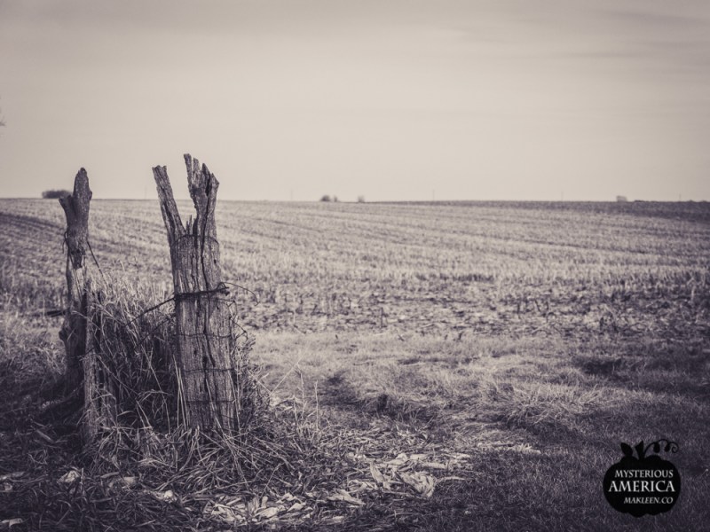 Photo by Michael Kleen