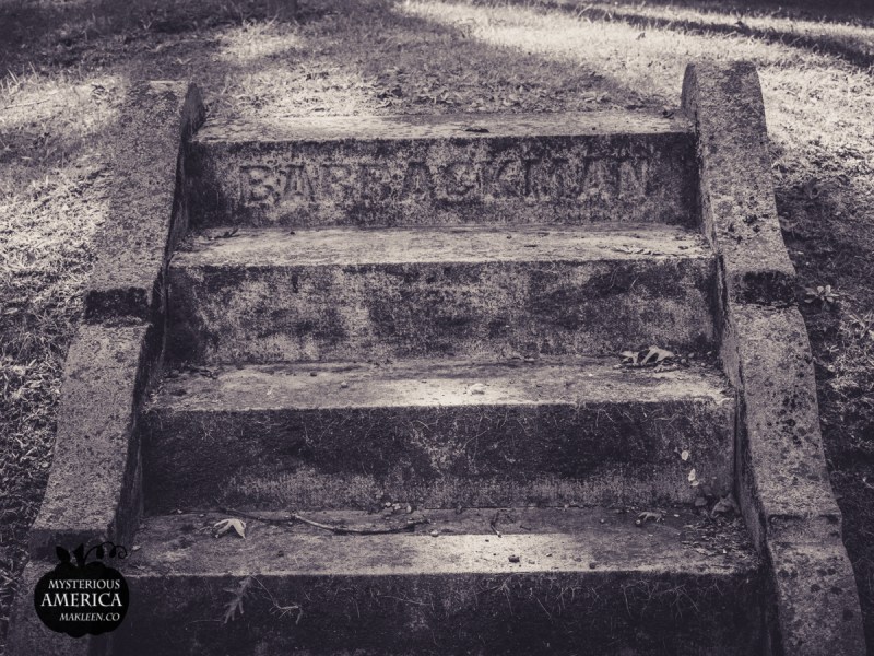 Photo by Michael Kleen