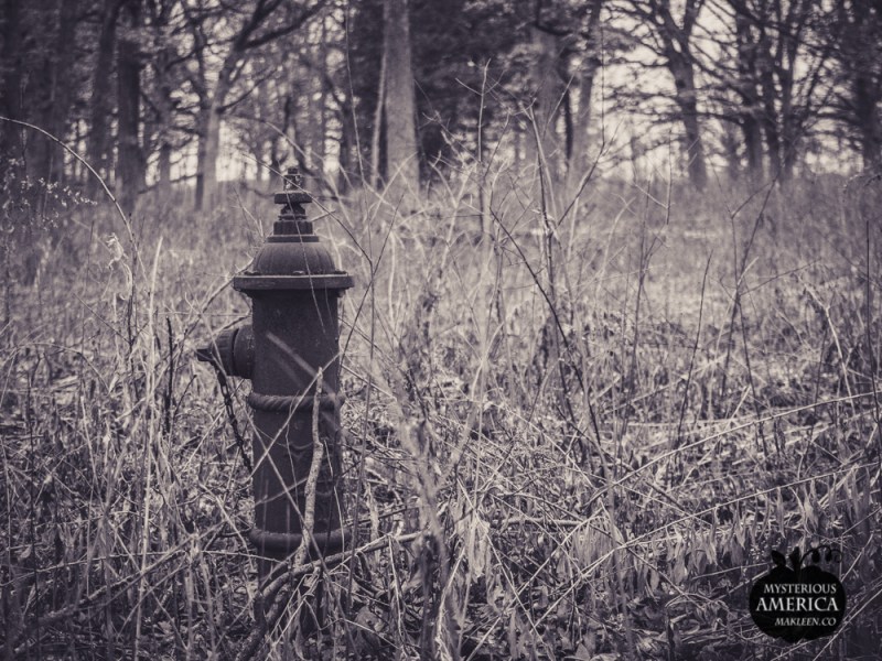 Photo by Michael Kleen