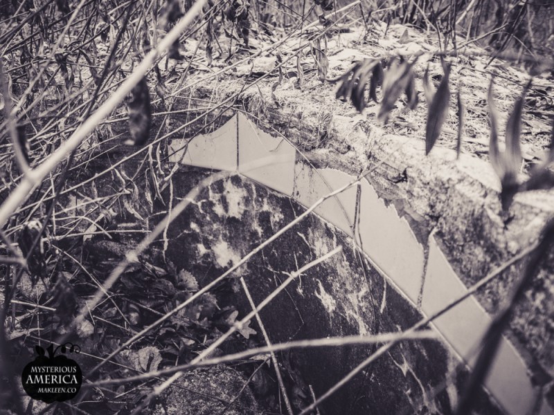 Photo by Michael Kleen