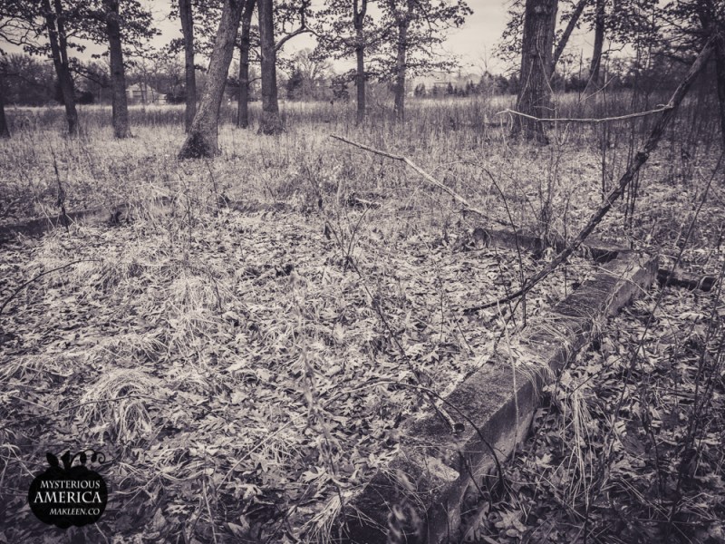 Photo by Michael Kleen