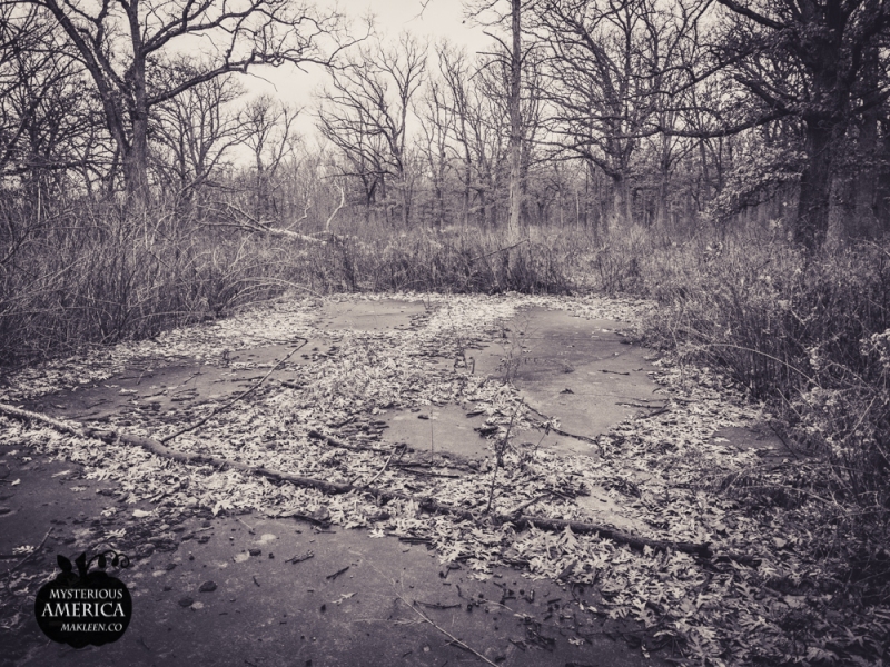 Photo by Michael Kleen