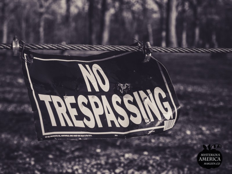 Photo by Michael Kleen