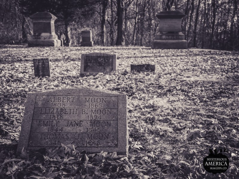 Photo by Michael Kleen