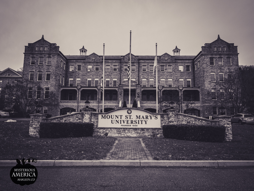 Photo by Michael Kleen