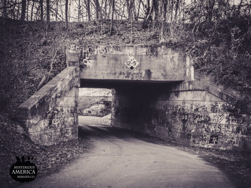 Photo by Michael Kleen