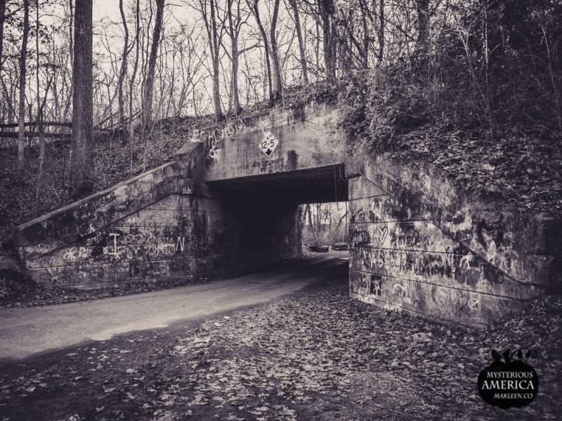 Photo by Michael Kleen