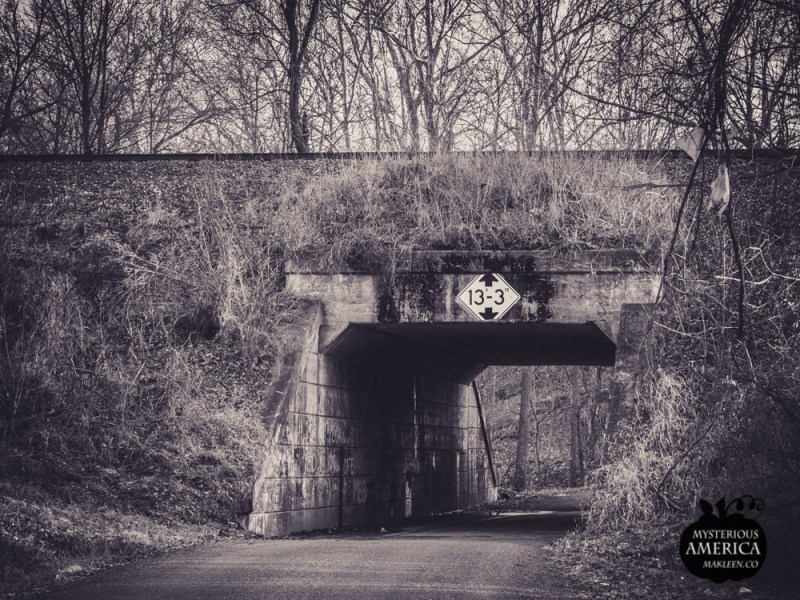 Photo by Michael Kleen