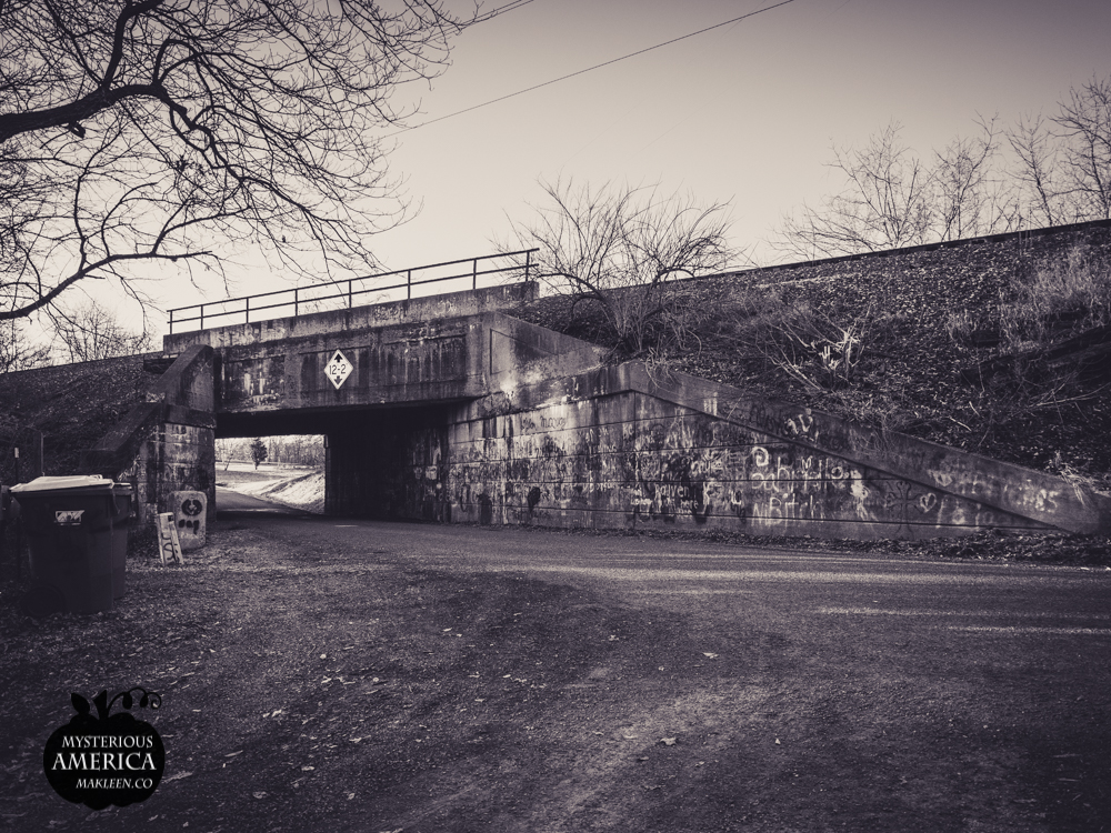 Photo by Michael Kleen