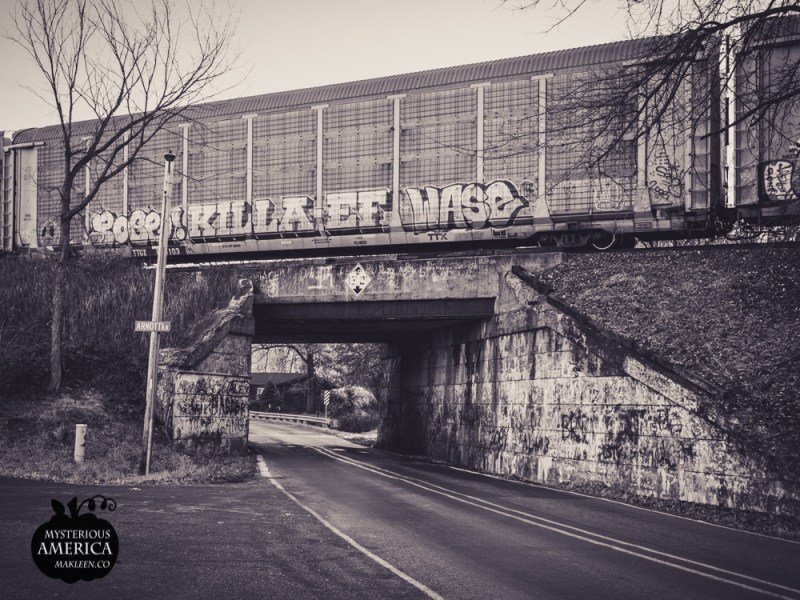 Photo by Michael Kleen