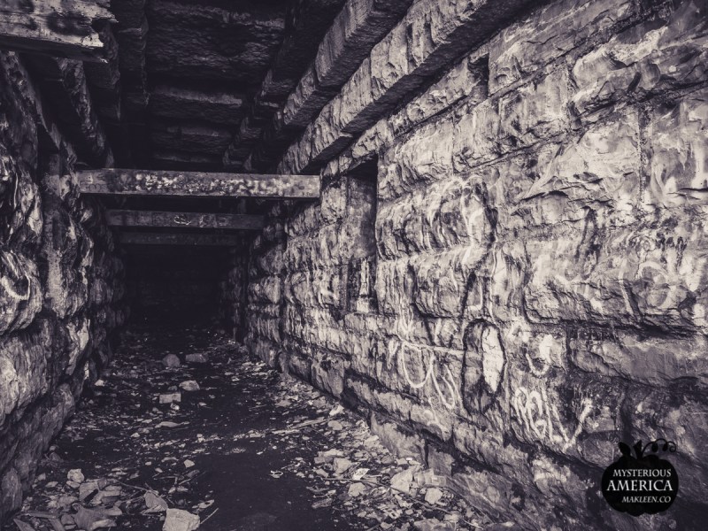 Photo by Michael Kleen